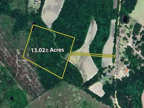 0 Banks Creek Church Rd, Portal, GA 30450