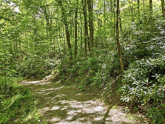 3rd image of Lot #25 Snow Ridge Road