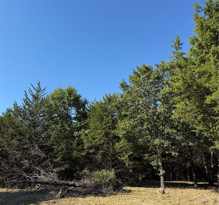2nd image of Angus Dr #3 & 736