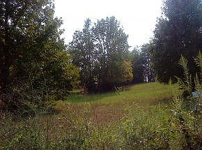 2nd image of Archer Rd