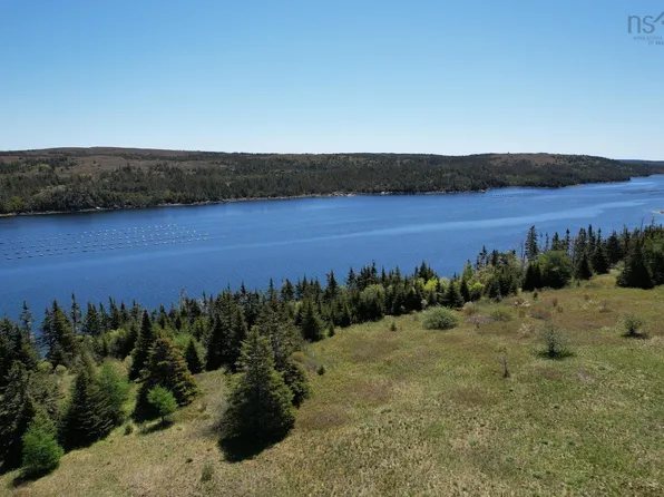 Highway 316, Whitehead, NS B0H