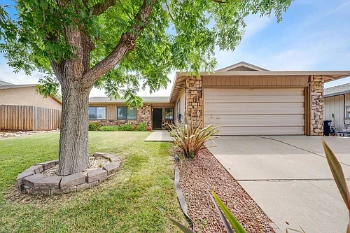 8338 Willow Tree Way Photo 1