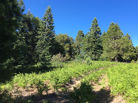 3rd image of 9.27 Acres Vacant Land