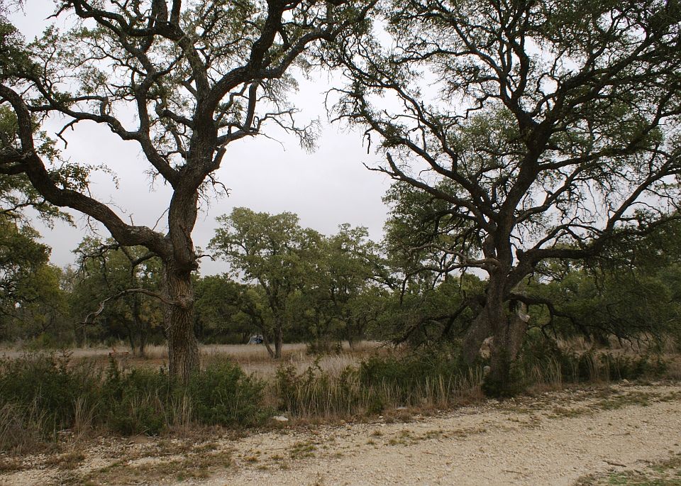 2nd image of 188 Glen Ellen