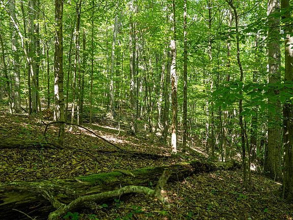5th image of 1 Sycamore Fork Rd