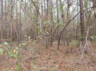 Vacant Ne Coreopsis Trl #0, Lee, FL 32059