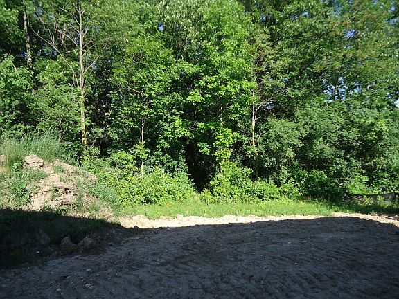 Wooded Back Yard