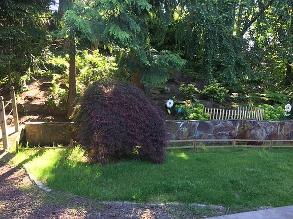 Backyard lawn and creek