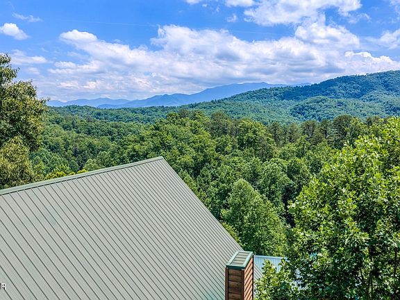 2nd image of 4519 Forest Vista Way