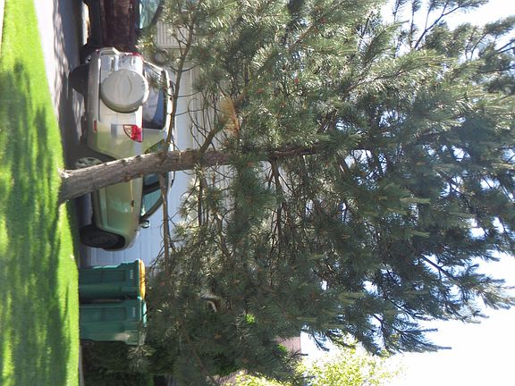 3rd image of 4516 Skylark Ln