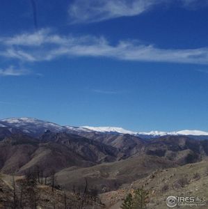 968 Turkey Roost Dr, Livermore, CO, 80536