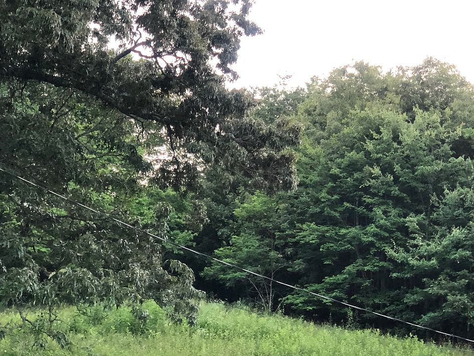 1st image of Gainesville Hwy