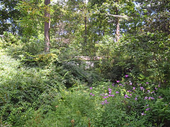 4th image of 2716 Tunnelton Denniston Rd