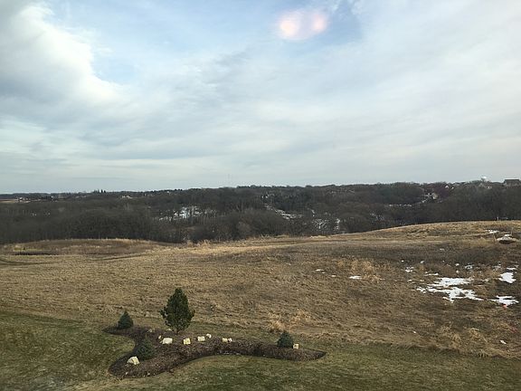 The view