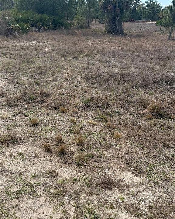 1st image of 1511 COLUMBUS AVENUE LOT 18