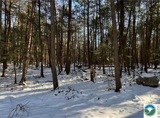 Treetop Ln, Albrightsville, PA 18210