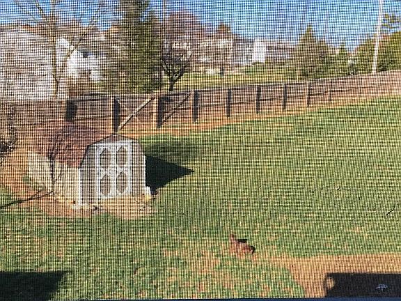 Large yard with custom shed