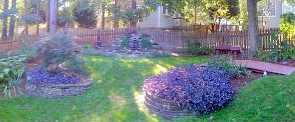 Fenced Yard