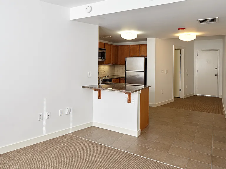 Dining/Living room