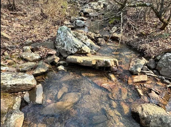 Cold Springs Rd, Waldron, AR 72958