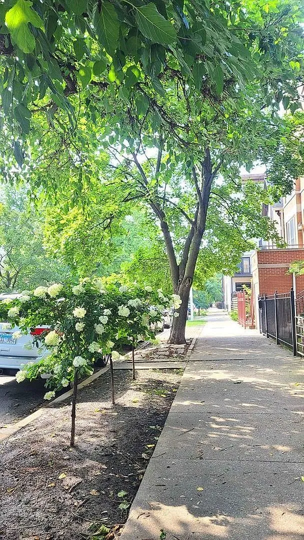 1 bed, 600 sqft, $1,875 — Photo 2