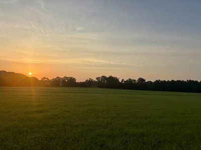 0 Perry Sellers Rd, Hartford, AL, 36344