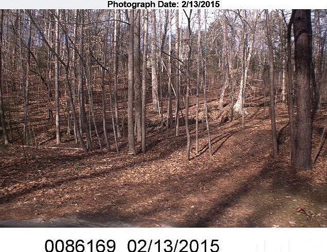 2nd image of 11601 Appaloosa Run W