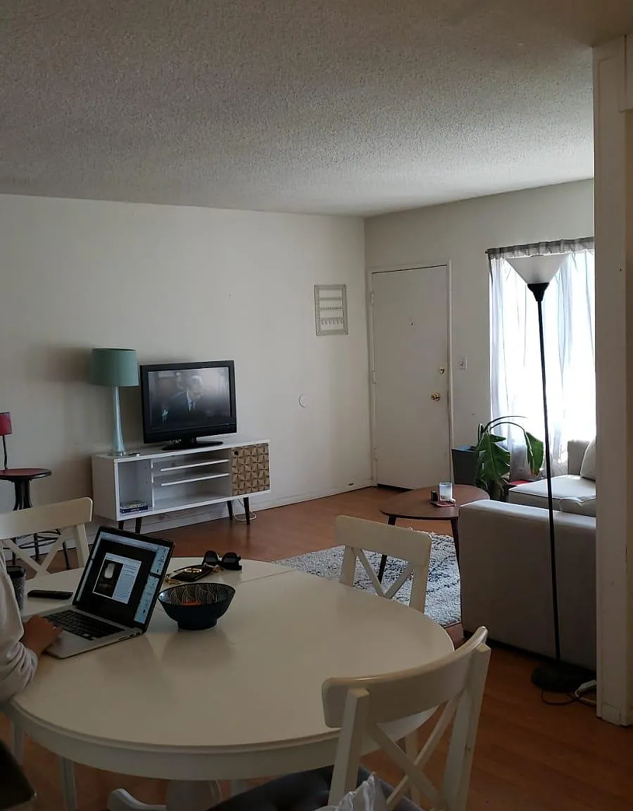 3 bed, 1200 sqft, $3,495 — Photo 3