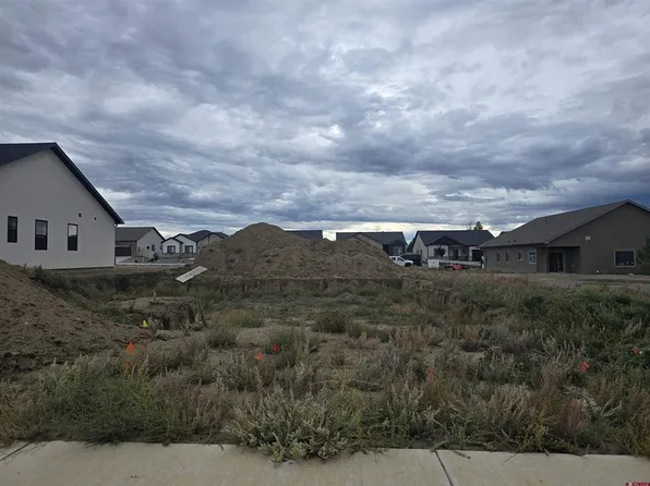 3346 Pineview Street, Montrose, CO 81401