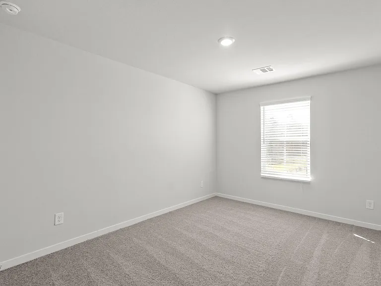 298 Brazen Forest Trl — Photo 10