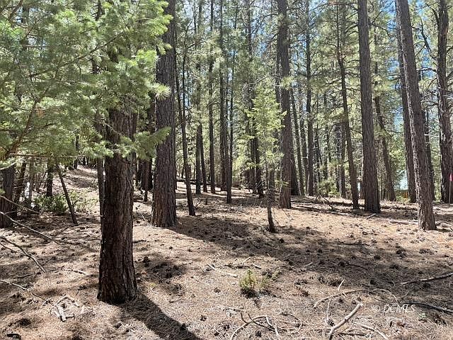 1st image of 253 W Mammoth View Dr