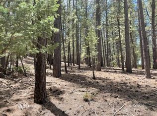 253 W Mammoth View Dr, Panguitch, UT 84759