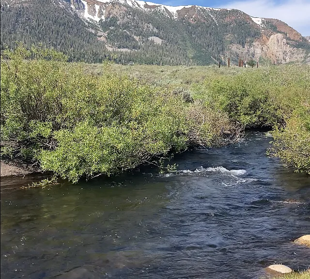 A 10 minute walk to Mammoth Creek