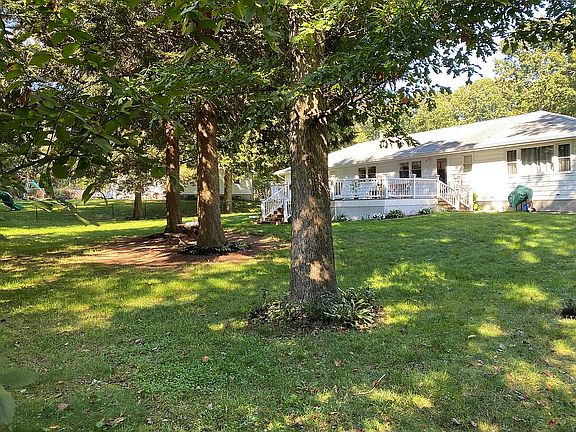 Backyard (1)