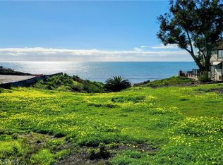 35291 Camino Capistrano, Dana Pt, CA 92624