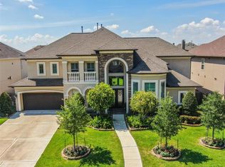 1106 Hackberry Branch Ln, Friendswood, TX 77546