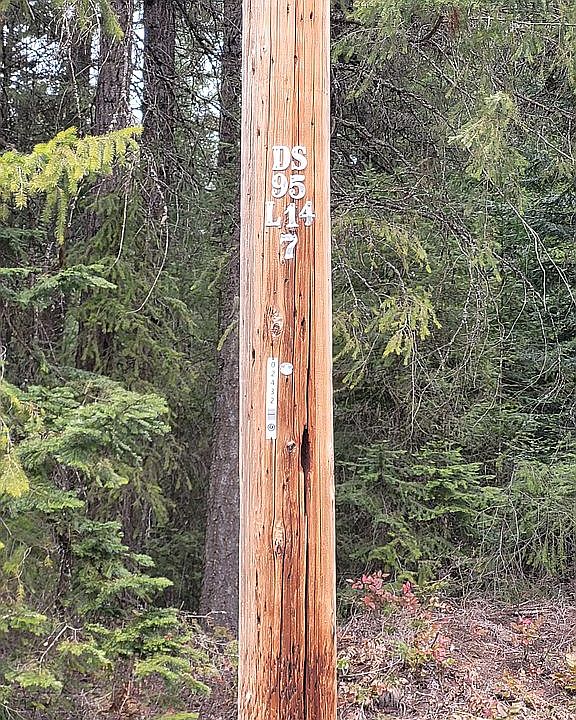2nd image of Forest Grove Ln