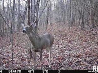 614 Bend Of River Rd, Cave In Rock, IL 62919