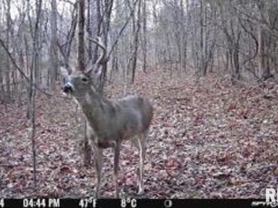 614 Bend Of River Rd, Cave In Rock, IL, 62919