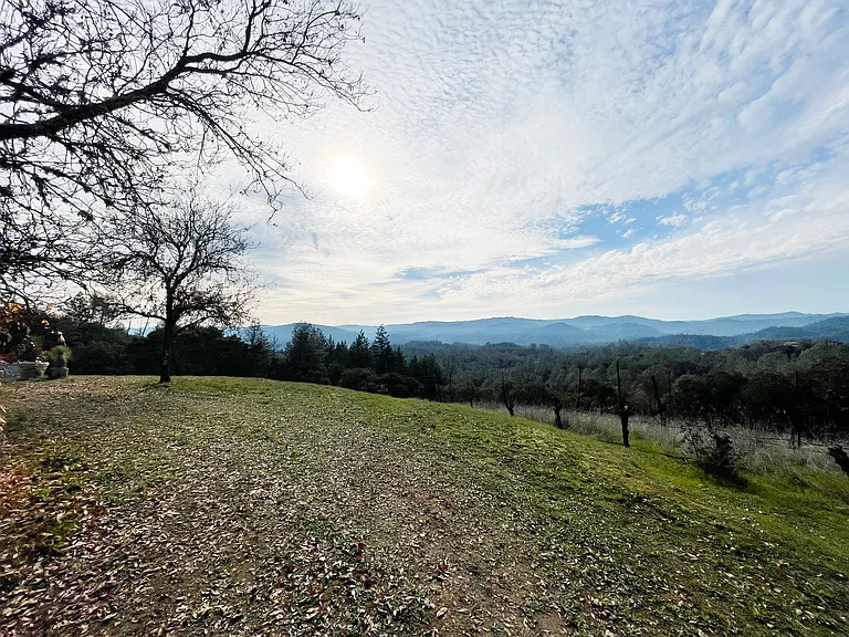 24401 Rich Ranch Rd — Photo 20