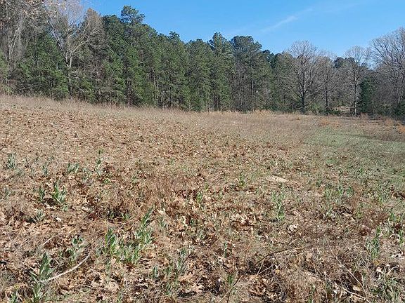 2nd image of 8438 County Road 373d