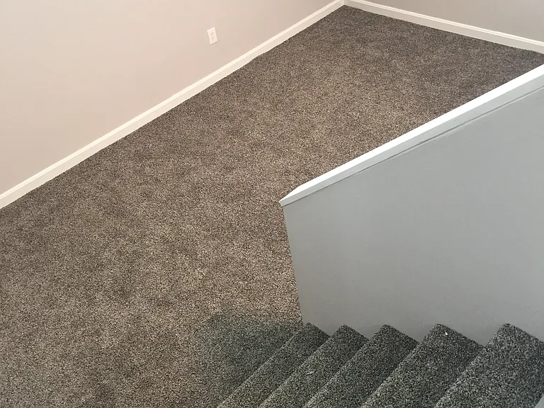 36 Abbott Street — Photo 8