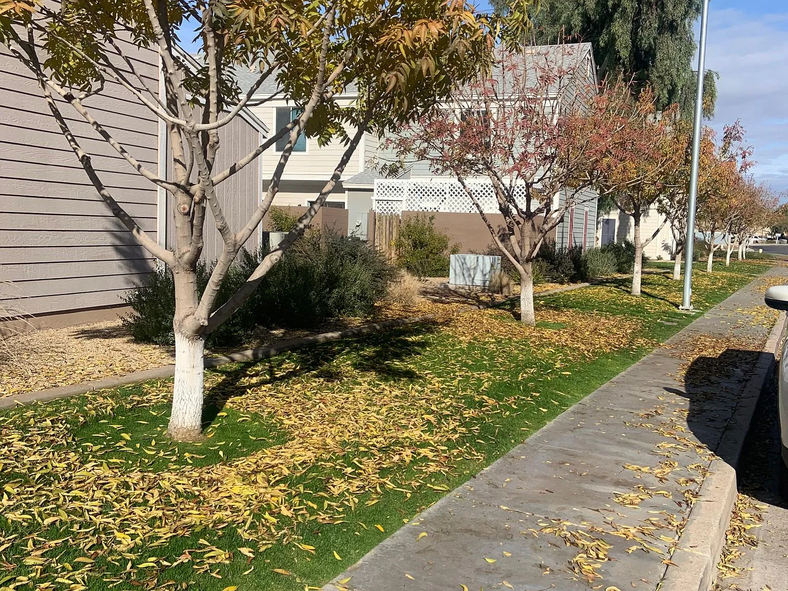 2 bed, 1.5 bath, 1200 sqft, $1,975 — Photo 3