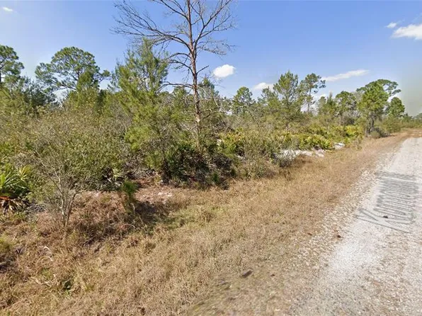 1256 Kumquat Street, Lake Placid, FL 33852