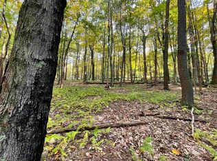 Lots 40 And 41 E Alpine Dr, Terra Alta, WV 26764