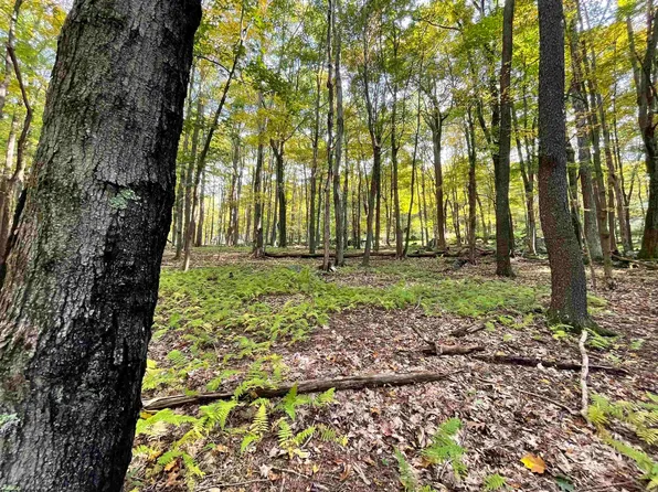 Lots 40 And 41 E Alpine Dr, Terra Alta, WV 26764