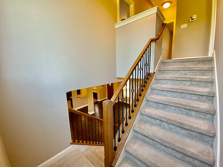 12437 Gray Camlet Ln — Photo 16