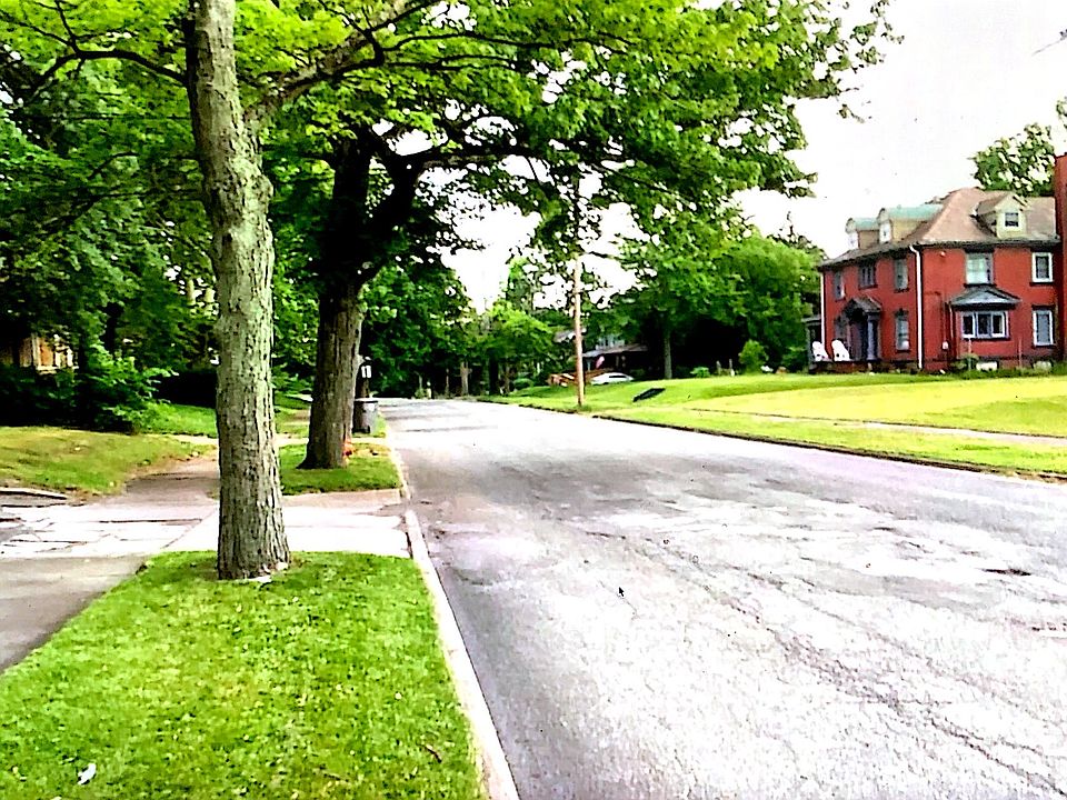 This is a peaceful location with a tranquil vibe!