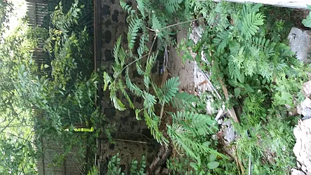 Rented by Space Link Realty