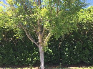 401 Cork St, Largo, FL 33770